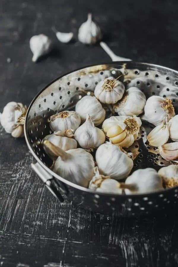 storing fresh garlic in a colander