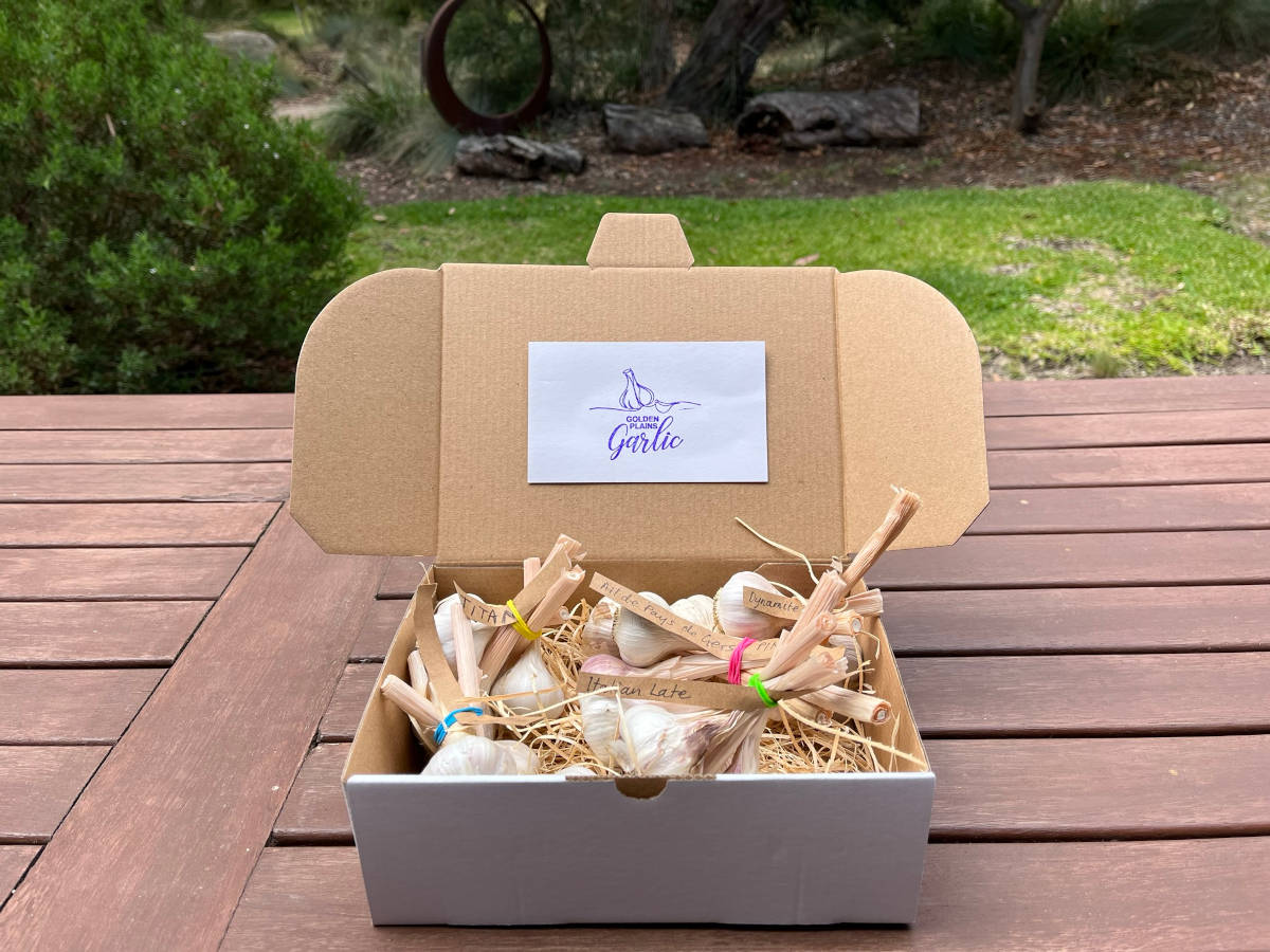 Australian garlic variety box